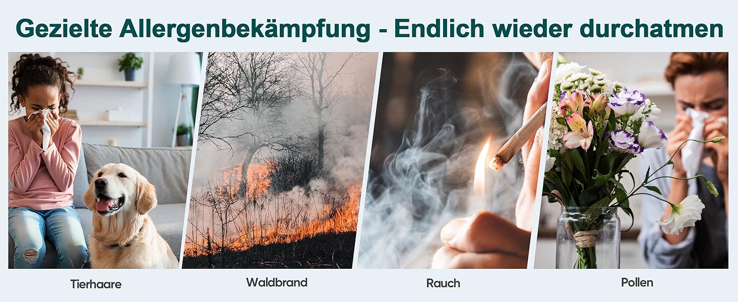 Повітряний фільтр Jafända HEPA для алергіків: очищувач повітря з аромадифузором та фільтром з активованим вугіллям, видаляє 99,97% цвілі, пилу, пилку, CADR 268 м³/год (Золотий)
