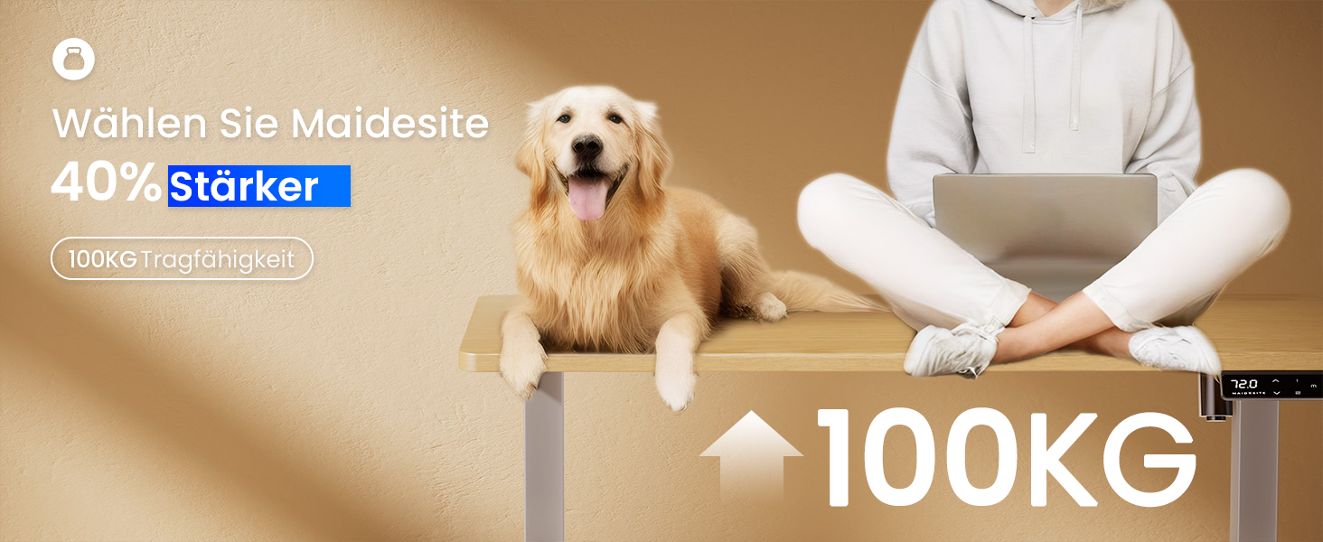 Електричний регульований стіл MAIDeSITe T1 Pro (Сірий) з 4 пам'яттю висоти та потужним мотором