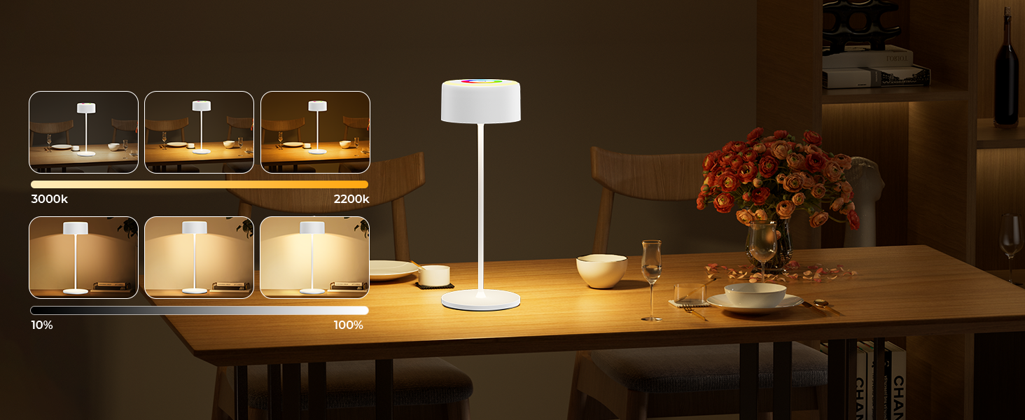 LED-лампа настільна акумуляторна з регулюванням яскравості, перезарядна, 3000-6000K+RGB, USB-C, для дому та вулиці, водонепроникна (IP54), алюмінієва