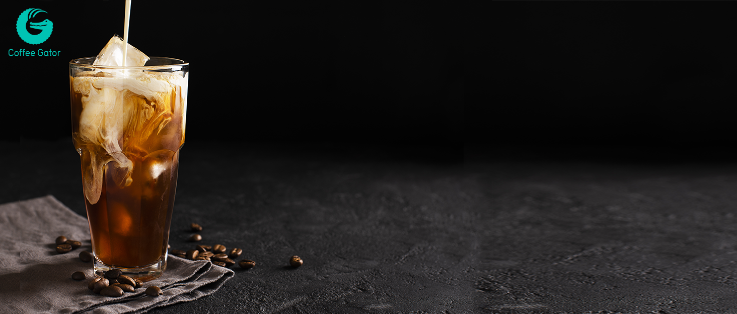 Кавоварка Espresso Gator для плити, мока-каструля з прозорого скла та нержавіючої сталі - кава по-італійськи, 9 чашок (450 мл), нержавіюча сталь
