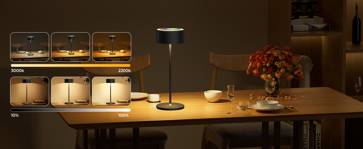 Бездротова LED-лампа TYEE з регулюванням яскравості, акумуляторна, 3000-6000K+RGB, USB-C, водонепроникна IP54, для дому та вулиці, алюміній, чорна