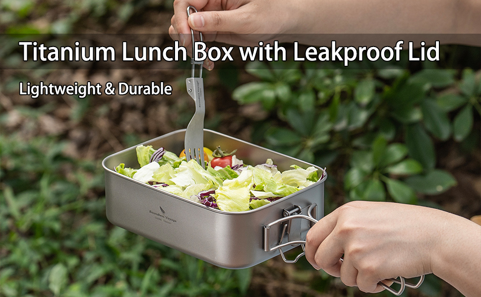 Ланчбокс iBasingo 800 мл з кришкою та ручкою – герметичний бенто-контейнер для кемпінгу, відпочинку та офісу. Харчовий посуд для їжі на винос – придатний для миття в посудомийній машині. Модель Ti2081C