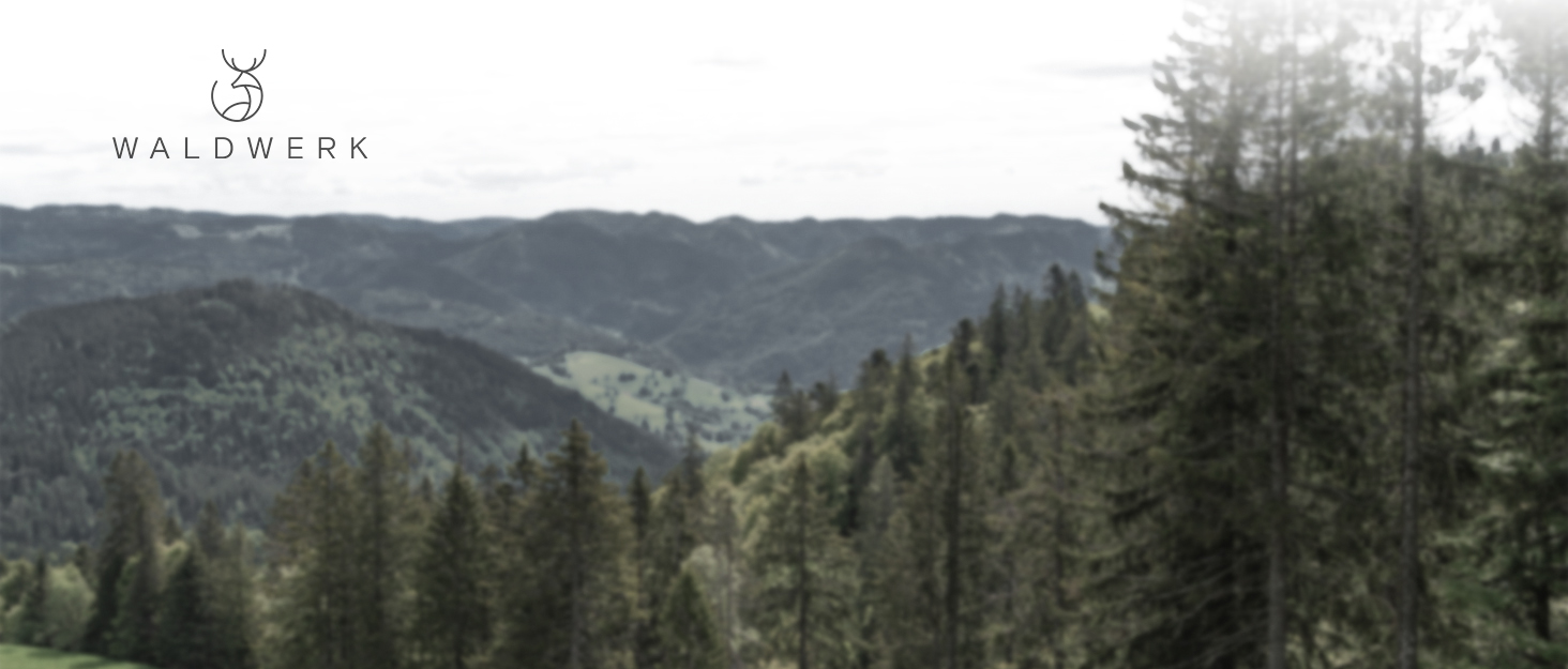 Тримач для паперових рушників WALDWERK з натурального дуба, підставка для всіх стандартних кухонних рулонів, екологічний безпластиковий дизайн