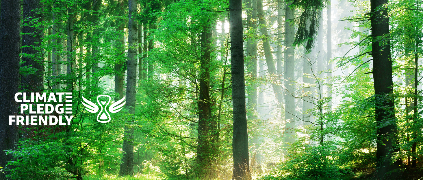 Вакууматор FRESKO Automatik для продуктів: автоматичний вакуумний пакувальник з турбо-потужністю 18л/хв, керування однією кнопкою, комплект з 2 рулонами для пакетів