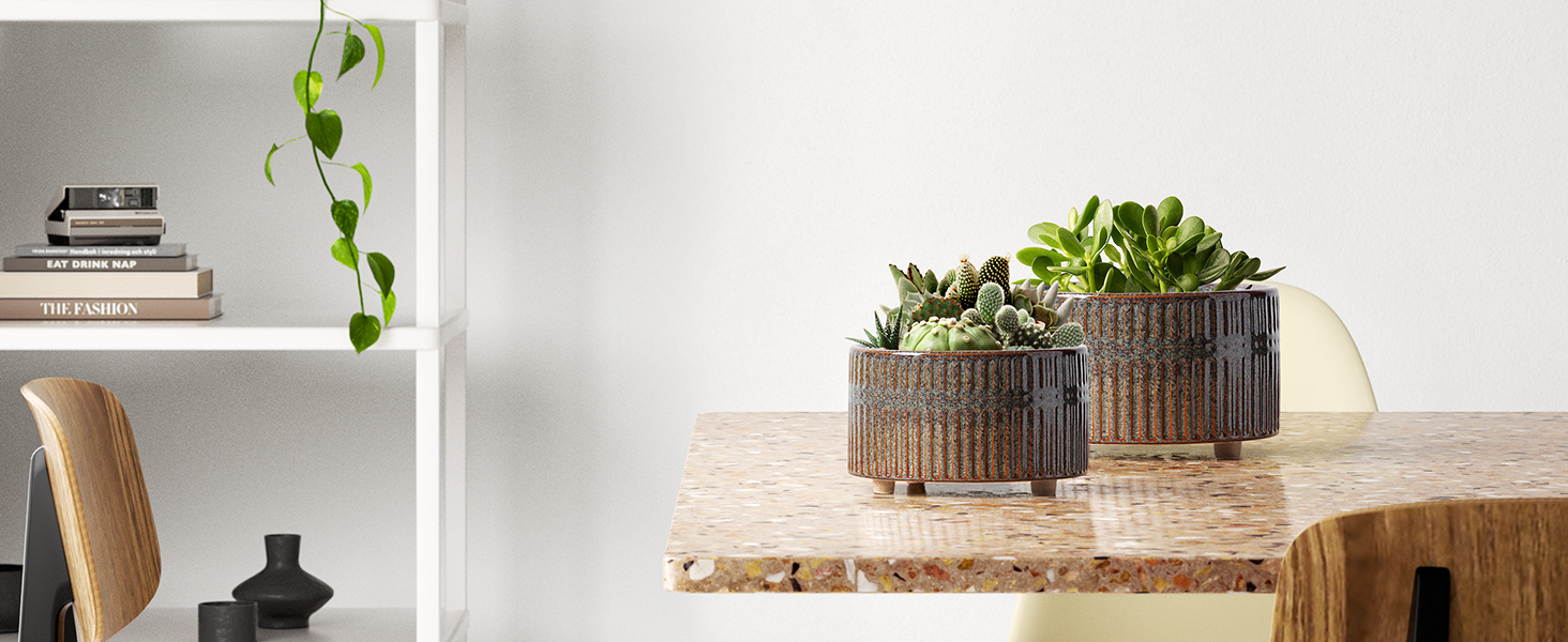 Набір горщиків для сукулентів LE TAUCI, 16,5+20 см, кераміка, для дому, з дренажними отворами, сучасний циліндричний дизайн, набір 2 шт., реактивна глазур чорного кольору