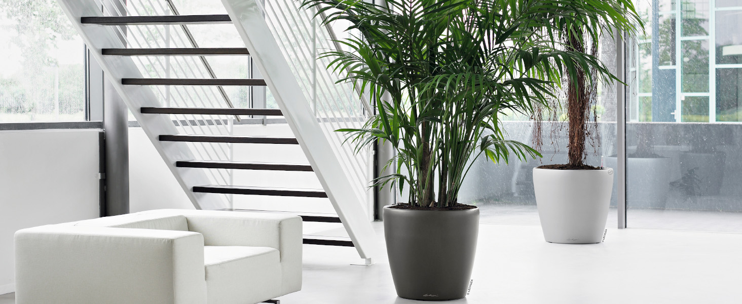 Горщик Lechuza Classico Premium 21 LS Комплект, Білий (70x70x64.5 см, Тауп Глянцевий, Однотонний)