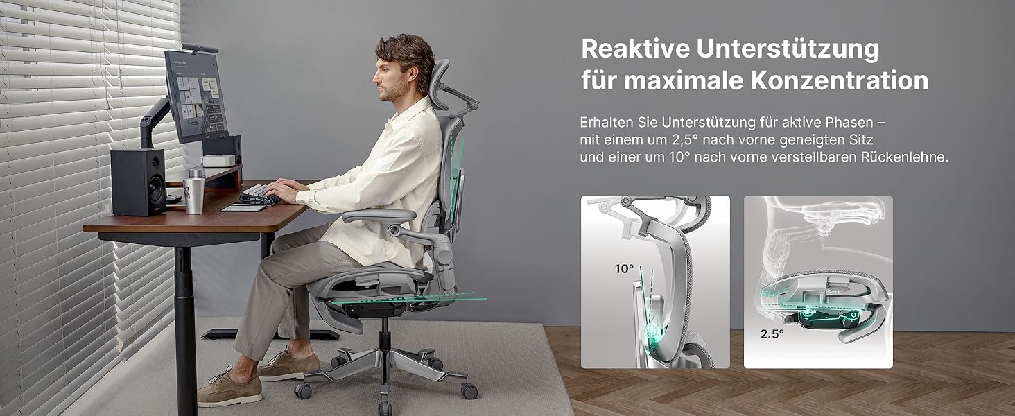 Офісний стіл HINOMI H2 Pro з ергономічною підтримкою попереку, регульованою підголівником та підлокітниками, до 150 кг, дихаюча сітка, поворотний крісло для дому та офісу, сірий