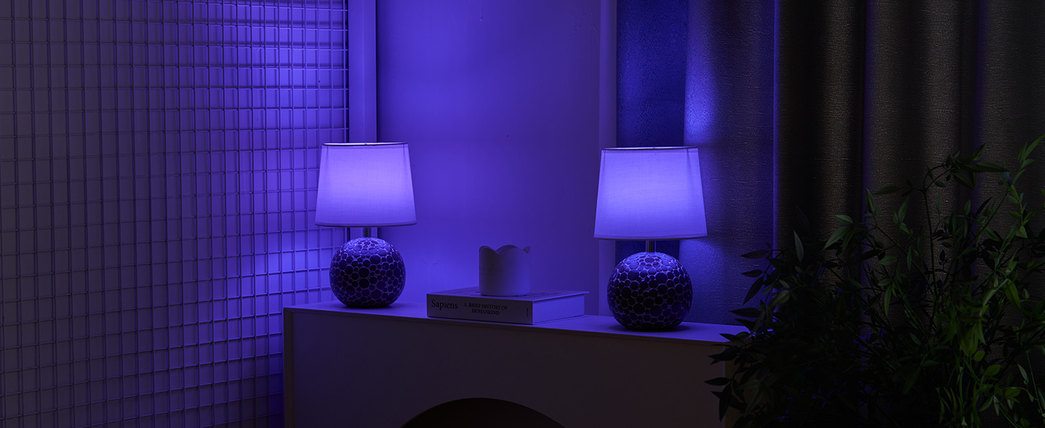 EGOBASIC Лампа настільна керамічна акумуляторна з пультом, 12 кольорів RGB, диммування, таймер, для вітальні, спальні, їдальні