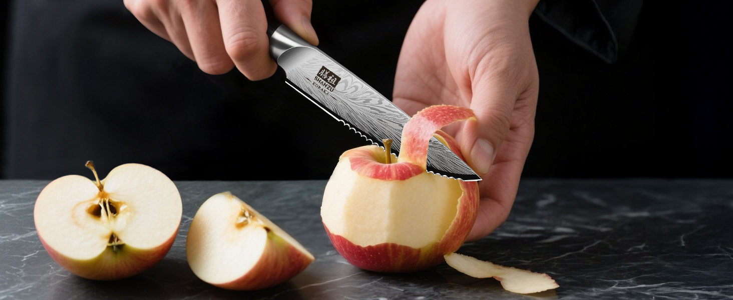 Японський ніж для кухні SHAN ZU з порошкової сталі, професійний ніж шеф-кухаря з високим вмістом вуглецю, з ергономічною ручкою з паккавуда (набір з 6 ножів для стейку, 11.5 см)