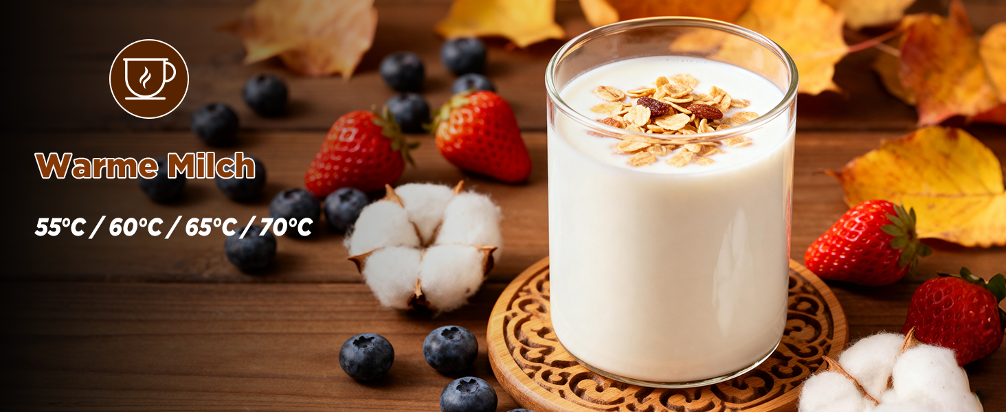 Електричний спінювач молока 5-в-1 з нержавіючої сталі, 500 мл, знімний контейнер, контроль температури, для гарячого та холодного молока, капучино, лате