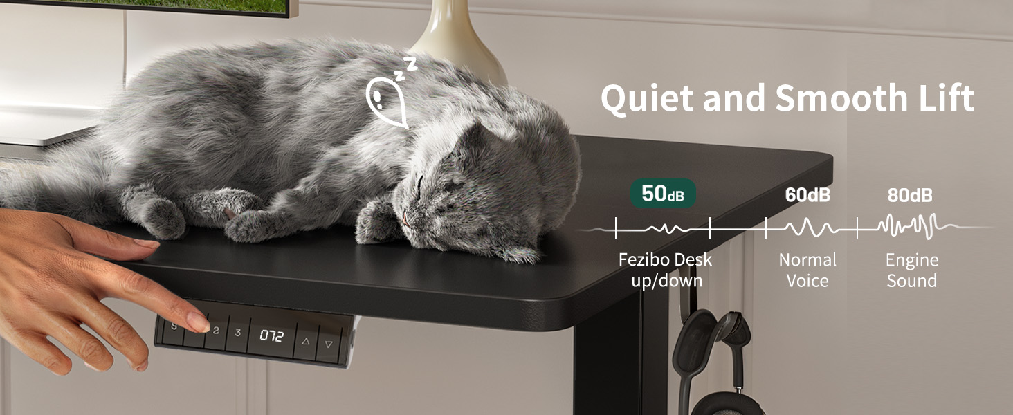 FEZIBO Стол для роботи з регулюванням висоти, 100x60 см, чорний, з USB-портами, для дому та офісу