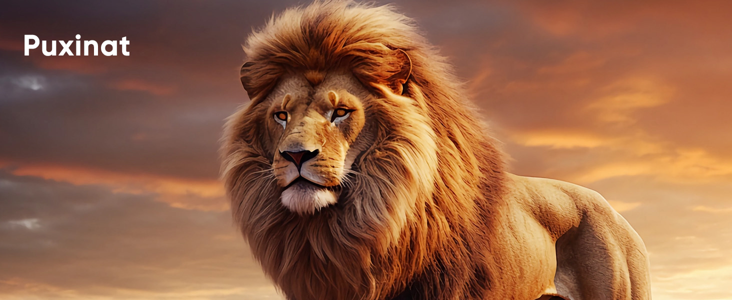 Beamer проєктор електричний 4K Full HD 1080p з автотрапецеїдною корекцією, WiFi 6, BT5.2, 50% зум, портативний для домашнього кінотеатру/відпочинку на природі, сумісний з ТВ приставкою/ноутбуком/смартфоном