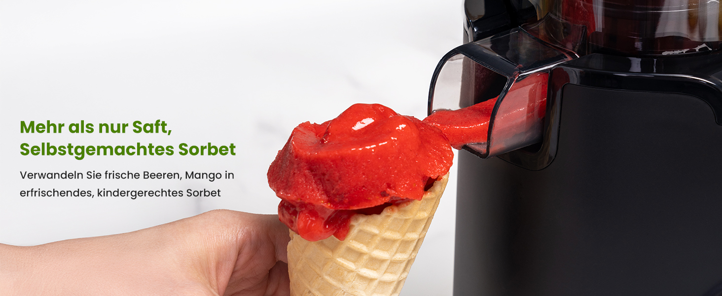 LINKChef Slow Juicer: Холодне віджимання овочів та фруктів, 115 мм, чорний, BPA Free