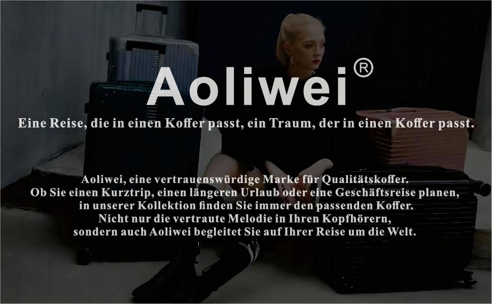 Валіза Aoliwei Hard Shell Подвійні колеса Візок на колесах Валіза для ручної поклажі l Silver