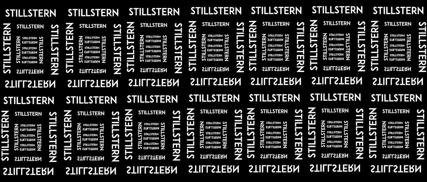 Чайник Stillstern з налаштуванням температури 1,7 л 40-55-70-85-100 C, 12 годин збереження тепла, прецизійний носик з нержавіючої сталі, захист від відбитків пальців, швидке нагрівання 2200 Вт, тихе, стабільне утримання Білий