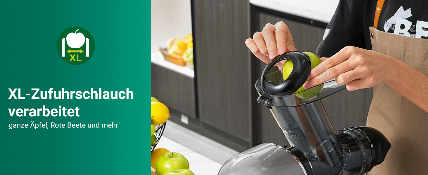 Електричний соковитискач AOBOSI Slow Juicer з 2 швидкостями, для овочів та фруктів, з 8-ступеневою спіраллю, щіткою для очищення та 2 чашами, функція реверсу, сірий