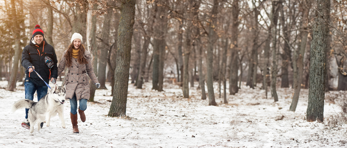 Електричний грієчка для рук 2-в-1 з магнітною основою та зарядним пристроєм, 14000mAh, 3 режими нагріву, для жінок, чоловіків, сімей, гольфу, полюванню та кемпінгу, чорний N7