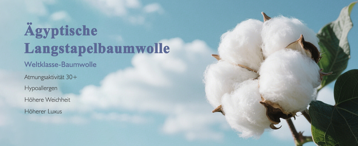 Пухова ковдра APSMILE 200x200 см з натурального пуху та пера, біо-бавовна, для алергіків, сертифікат Ökotex, RDS, середньої теплоти, біла, цілорічна