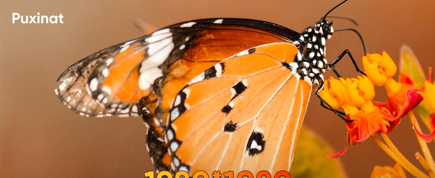 Міні-проектор Beamer 4K 1080P з Wi-Fi/BT, електронним фокусом/автоматичною корекцією трапецеїдальних спотворень, 50% зумом, 270° обертанням для домашнього кінотеатру/відпочинку на природі, сумісний з ноутбуком/смартфоном/мишею