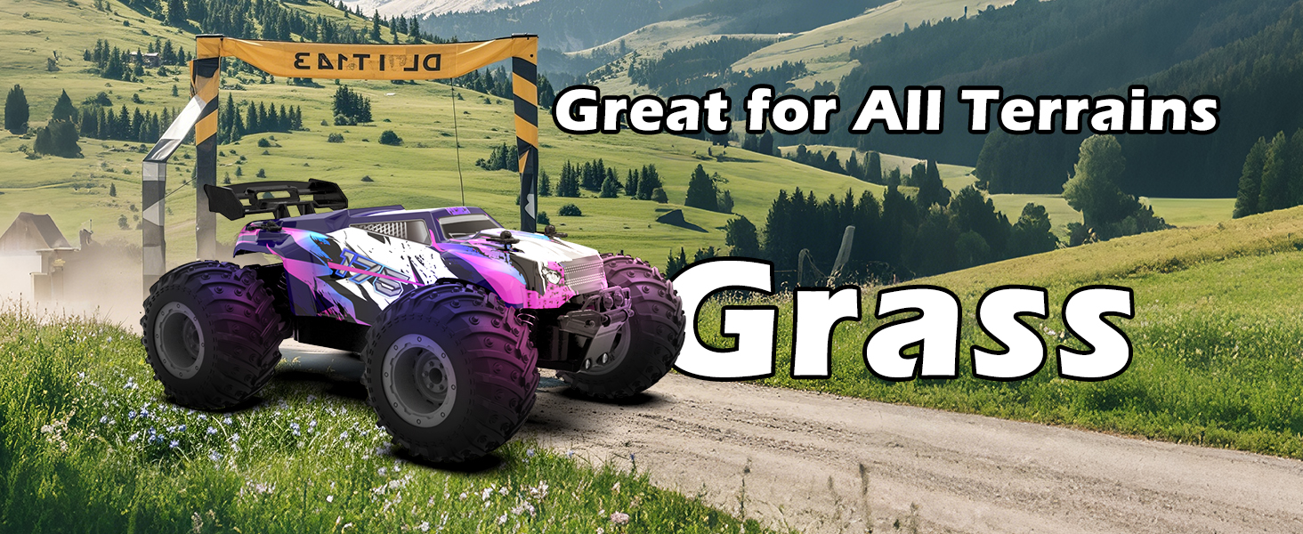 Радіокерований позашляховик FEIMUOSI 1:18 RC Car: LED підсвітка, 2.4GHz, 2 акумулятори, швидкість 20 км/год, для дітей та дорослих, фіолетовий