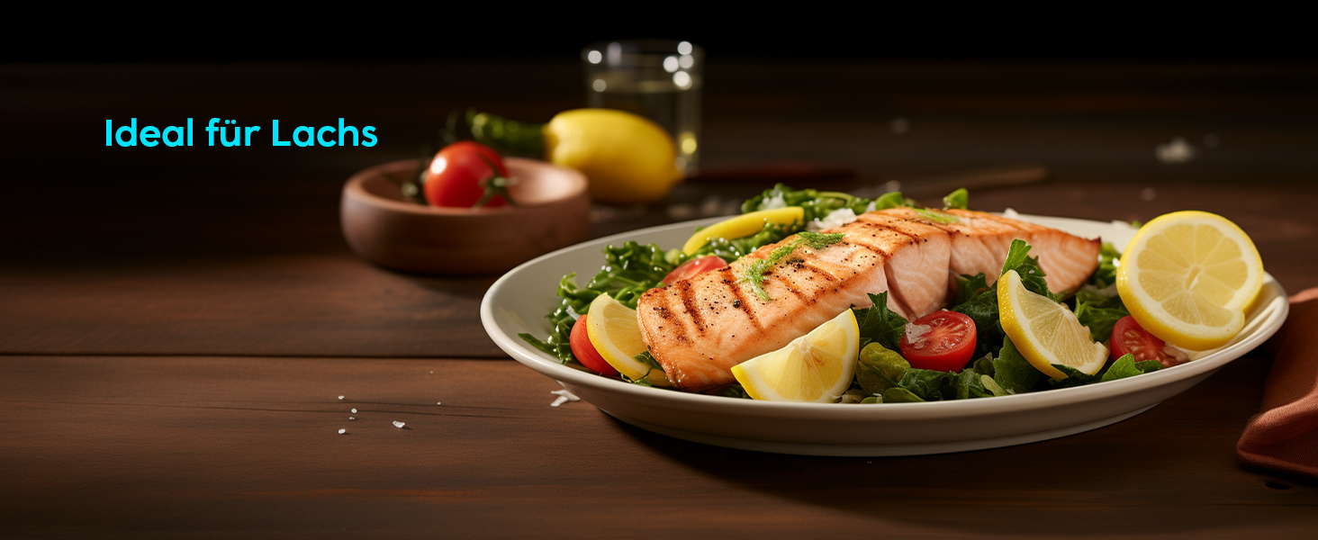 Бездротовий термометр Inkbird для м'яса з Bluetooth, IP67, 91м, для гриля, BBQ, духовки, копчення, ротисерії (INT-11X-B)