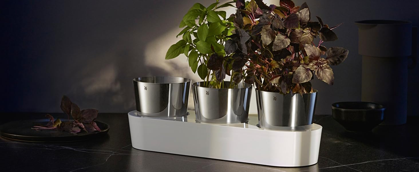 Набір горщиків для трав WMF Gourmet з системою поливу, 3 шт., для кухні, 36x12,5x12,5 см, білий, для свіжих трав