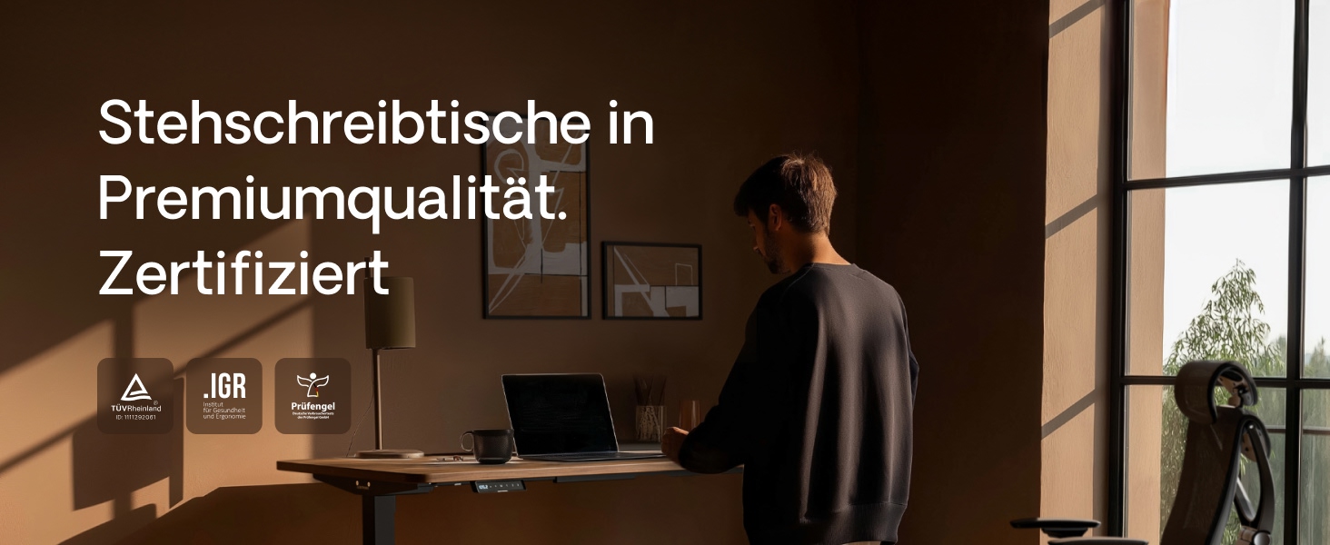 Регульований стіл Desktronic Homeone 160x80 см – електричний, з USB-портами, чорний + білий