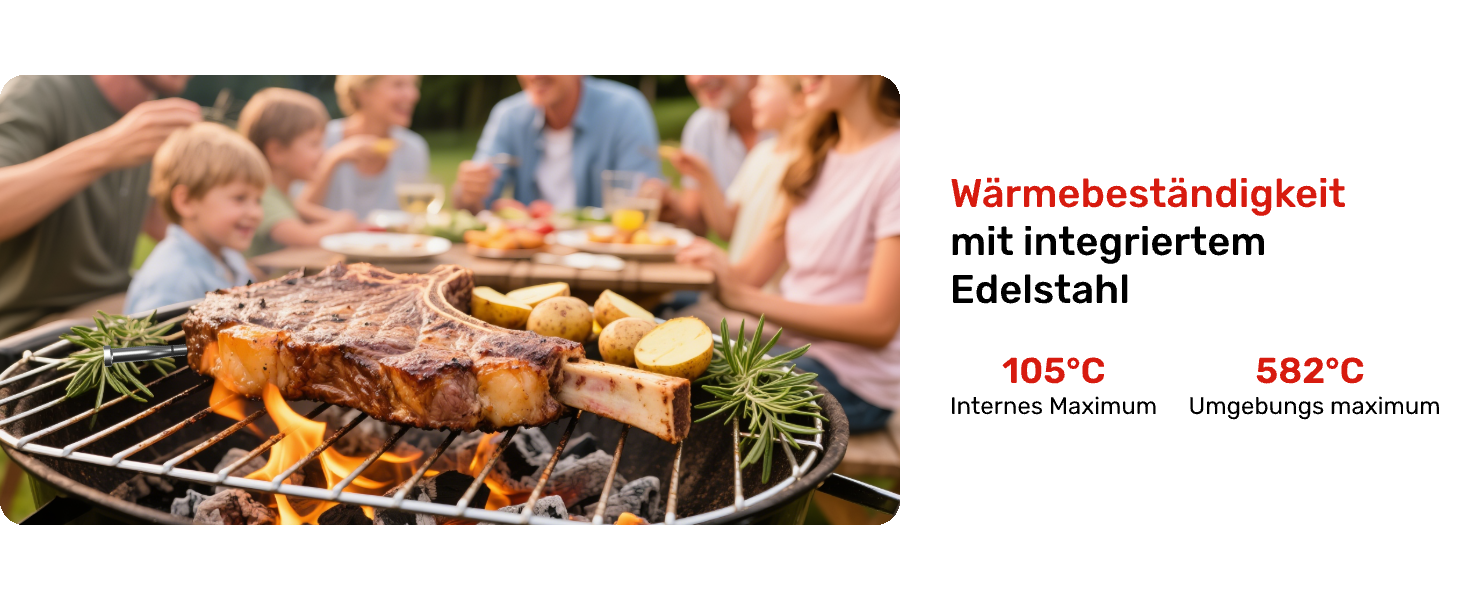 Бездротовий термометр для м'яса S Pro з Bluetooth, 6 датчиків, ±0,1°C, моніторинг через додаток, таймер, будильник, IP69 водонепроникний та олієстійкий