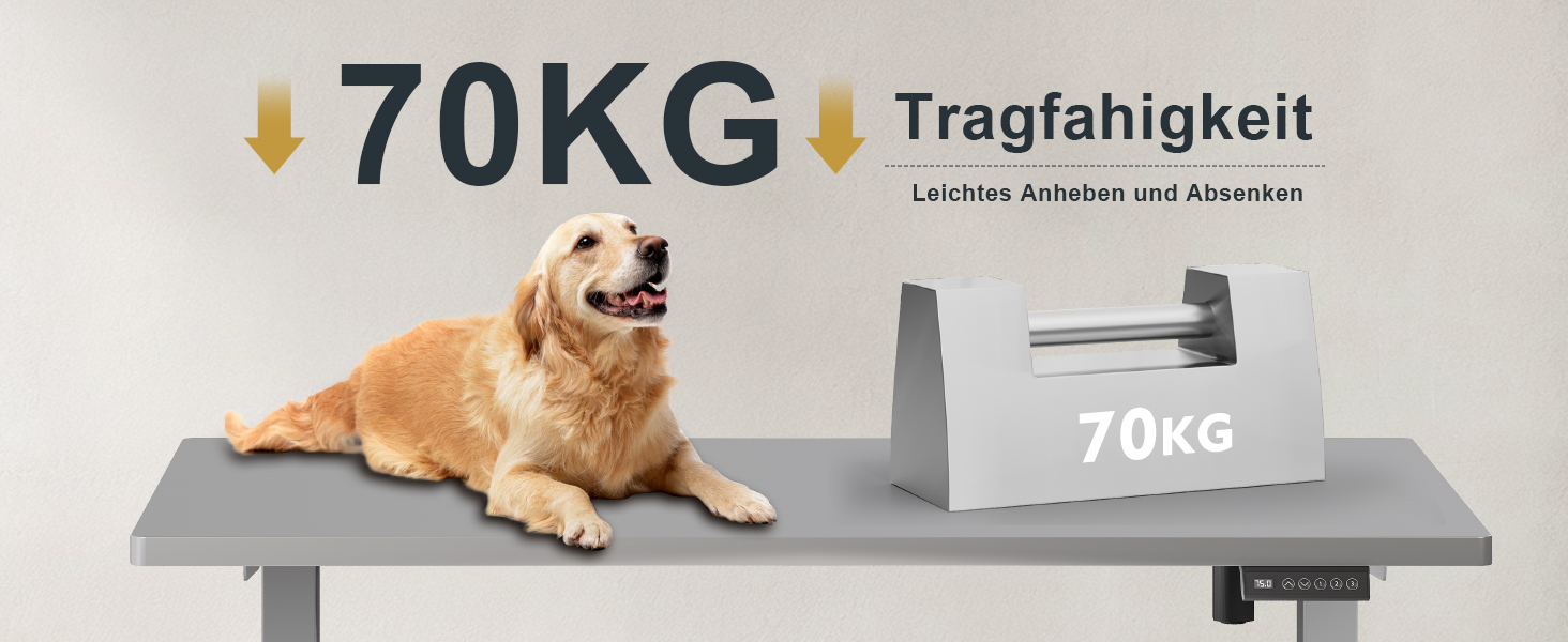 Електричний регульований стіл Flamaker: телескопічна стійка, пам'ять, сірий колір