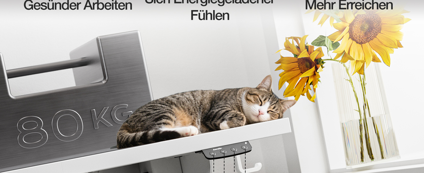 Електричний регульований стіл 120x60 см з пам'яттю, для офісу та дому. Комп'ютерний стіл з кабелеуправлінням та гачками, білий.