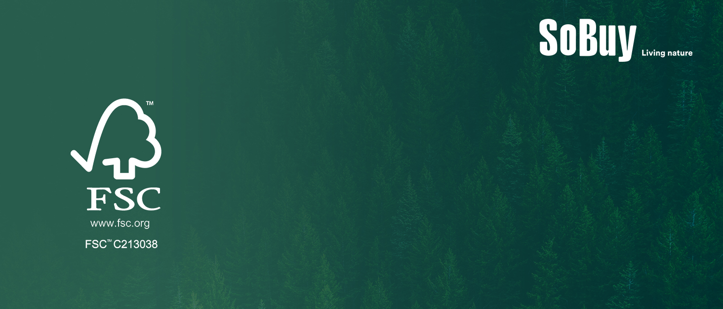 Полка для взуття SoBuy з подушкою для сидіння та місцем для зберігання, вузька, до 150 кг, сірий, 60x51x24 см