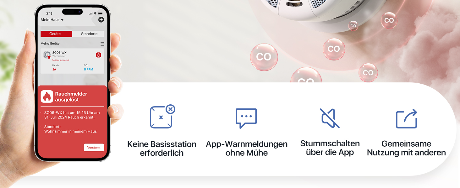 X-Sense Детектор диму та CO з Wi-Fi, 2-в-1, SC06-WX, 1 шт.