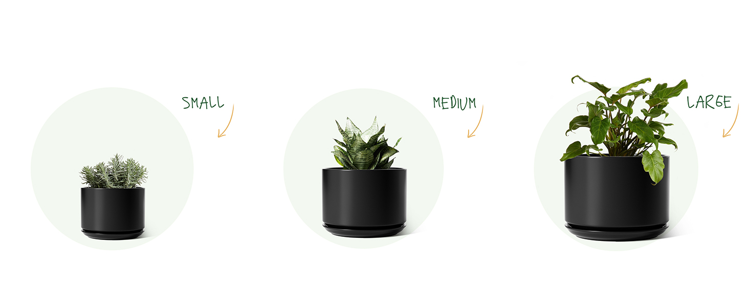 Набір горщиків для квітів LE TAUCI 3шт, кераміка, 11/13/17 см, з підставками та дренажними отворами, реактивна глазур, бежевий (чорний)