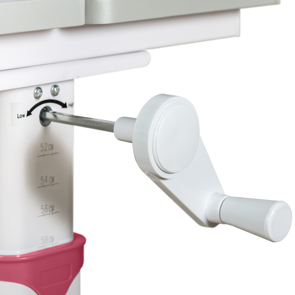 Комплект меблів Evo-kids (стіл+стілець+полиця) BD-22 PN