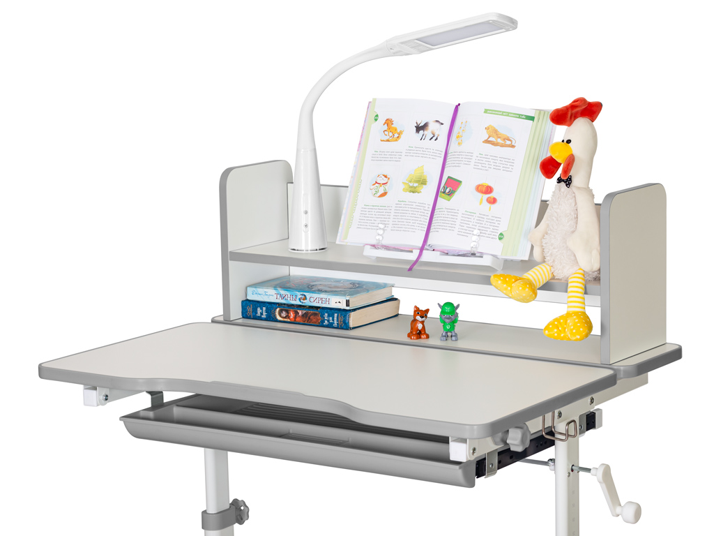 Дитячий стіл ErgoKids TH-325 Grey (арт.TH-325 W/G)